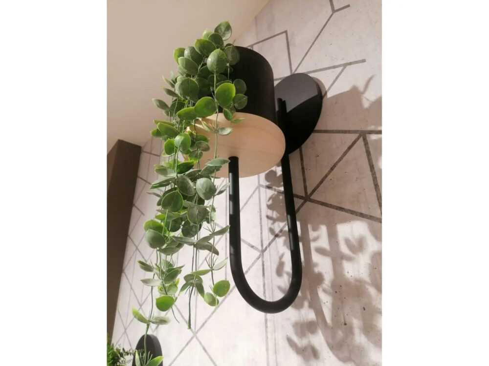 CIGALES VASO