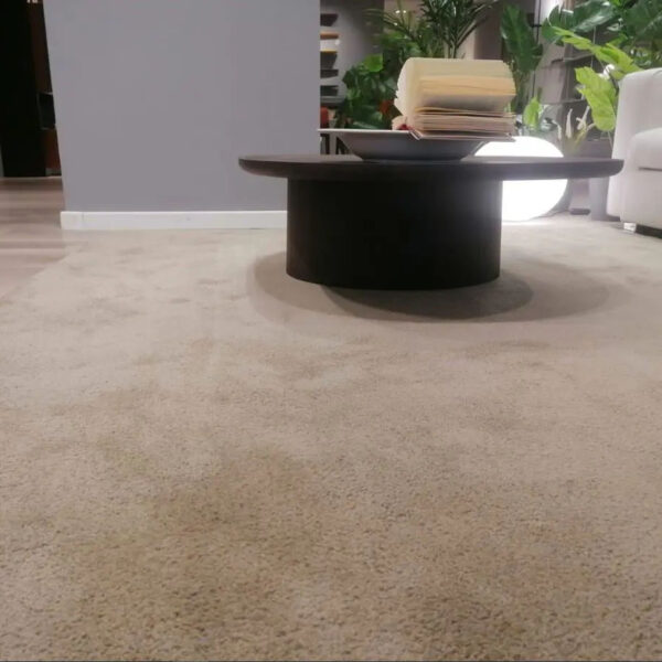 9M0N15 MOON TAPPETO CM 200X300 BIANCO A PELO CORTO 